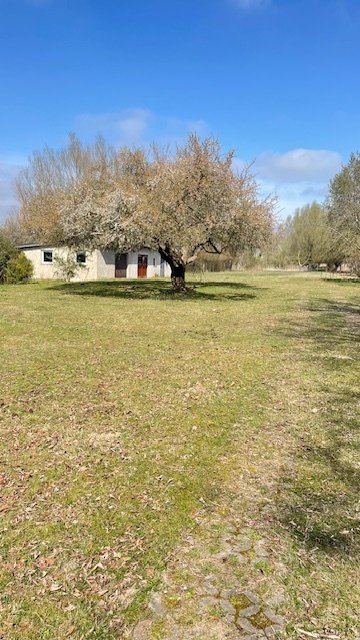 Knuffiger Bungalow Nähe Schwerin mit Pferdewiese