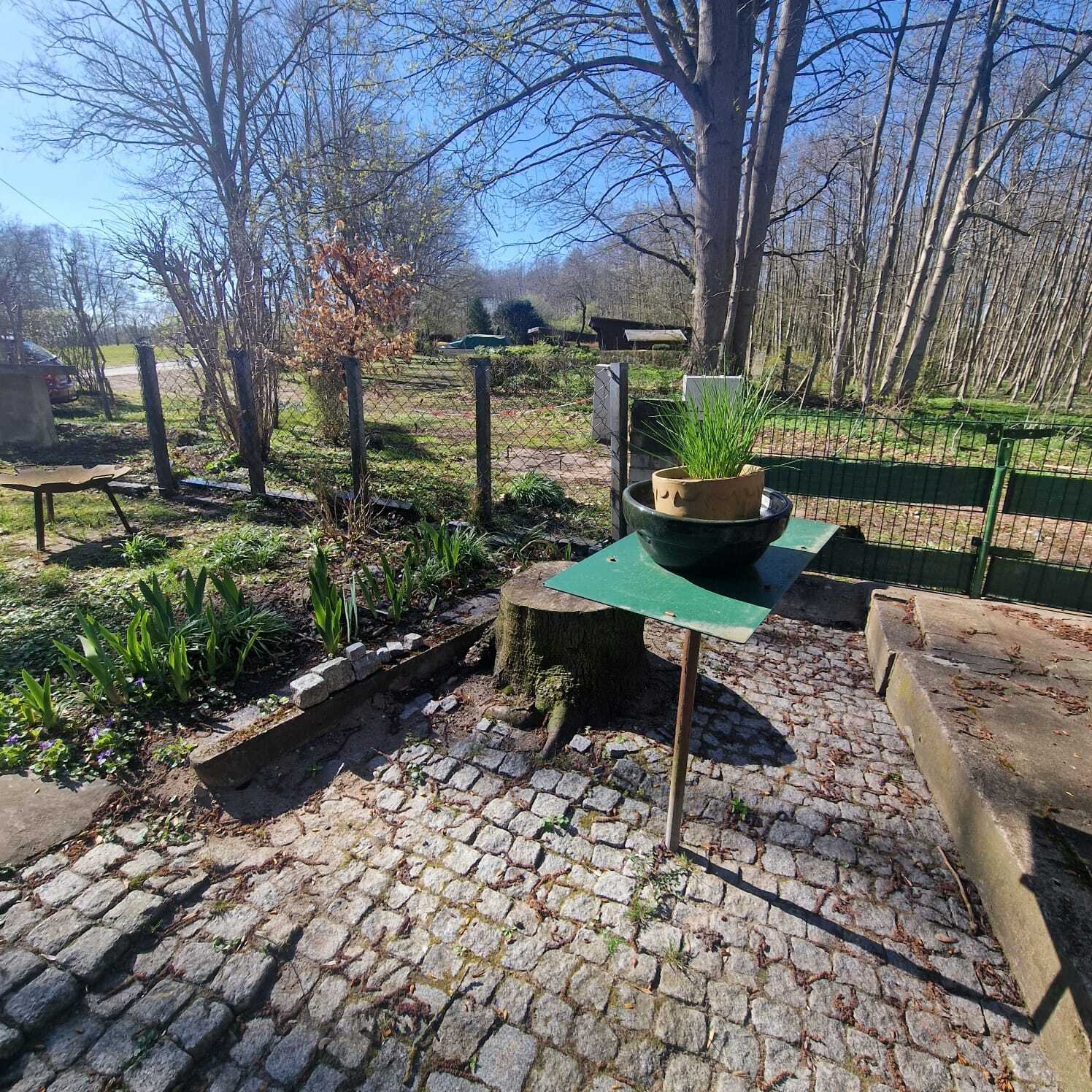 Finnhütte am Dümmer See